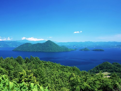 Tropical Paradise