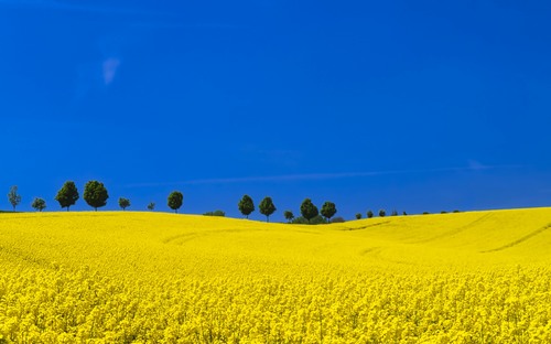 Computer Desktop Wallpapers Collection. www.cwer.ru