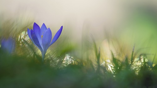 Computer Desktop Wallpapers Collection. www.cwer.ru