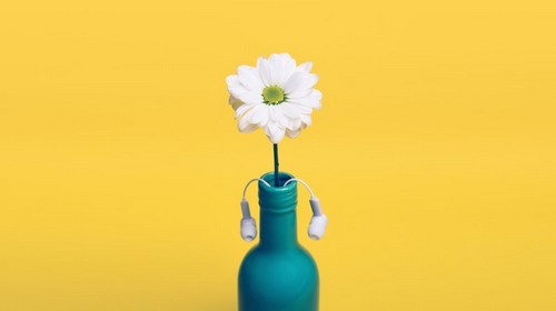 Computer Desktop Wallpapers Collection. www.cwer.ru