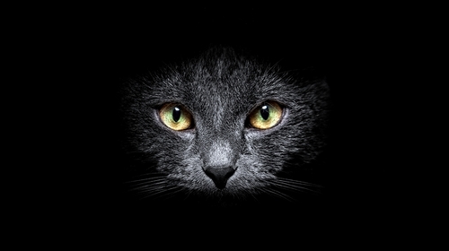 Computer Desktop Wallpapers Collection. www.cwer.ru
