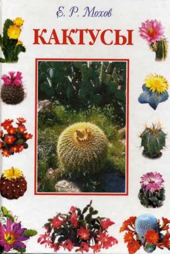 Кактусы