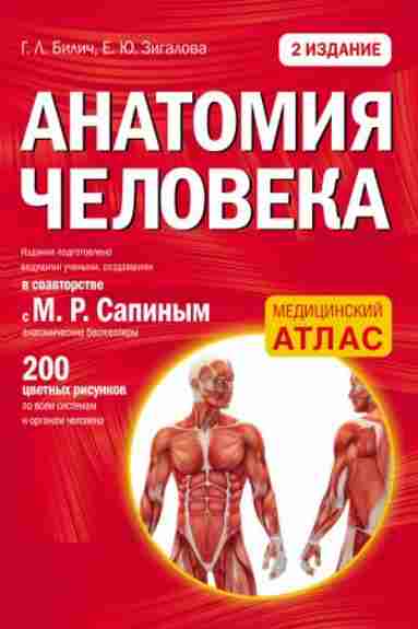 anatomiya-chelovek
