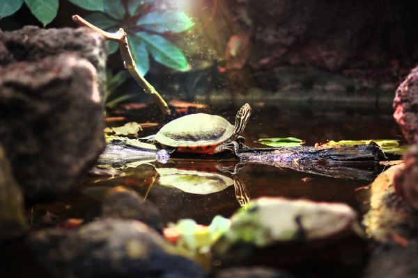 New Mixed HD Wallpapers Pack 318
