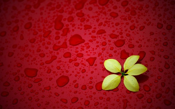 New Mixed HD Wallpapers Pack 260
