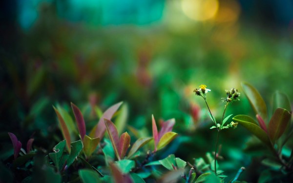 New Mixed HD Wallpapers Pack 269