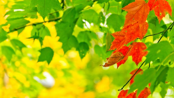 New Mixed HD Wallpapers Pack 273