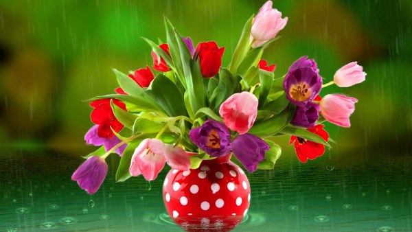 New Mixed HD Wallpapers Pack 288