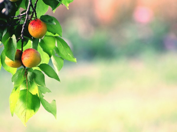 New Mixed HD Wallpapers Pack 189