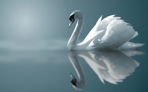 Best Mixed Wallpapers Pack #377-378