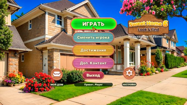 Sweet Home: Look and Find 6 Collector’s Edition