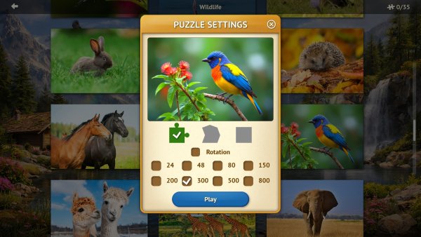 Wonderful Jigsaw