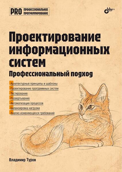 Владимир Туров. Проектирование информационных систем. Профессиональный подход